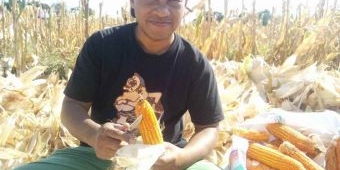 Merayakan Predikat, Mengatasi Realitas: Evaluasi Kritis “Kabupaten UMKM” Situbondo