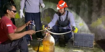 Damkar Tuban Evakuasi Ular Kobra Panjang 1 Meter yang Masuk ke Kandang Burung Milik Warga