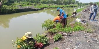 Peringati Hari Air Sedunia, Cargill Gresik Tanam 1.500 Mangrove untuk Filtrasi Air