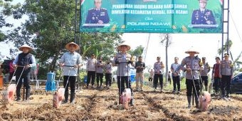 Dukung Ketahanan Pangan, Polres Ngawi Tanam Jagung di Lahan Baku Sawah