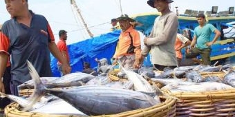Baru 330 Orang Nelayan di Pasuruan Terdaftar Asuransi