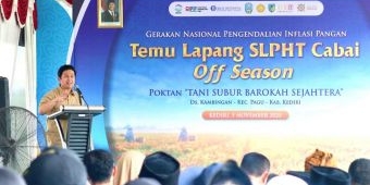 BI Kediri Dorong Ketahanan Pangan Lewat Pelatihan Cabai Off Season Ramah Lingkungan