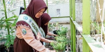 Enam Sekolah di Lamongan Raih Penghargaan Adiwiyata Nasional dan Mandiri 2024