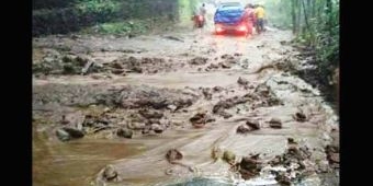 Diguyur Hujan, Taman Hutan Rakyat (Tahura) Pacet Mojokerto Longsor