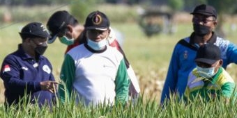 36.558 Petani di Situbondo akan Mendapatkan Pupuk Gratis dari Bung Karna