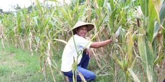 Reforma Agraria di Soso Blitar Lahirkan Generasi Petani Muda Kreatif dan Mandiri