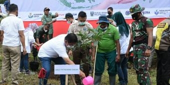 Hijaukan Indonesia, Petrokimia Gresik Koordinir Penanaman 12.300 Pohon