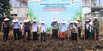 Dukung Ketahanan Pangan, Polres Pasuruan Tanam Jagung Bareng Santri Ponpes Sabilunnajah
