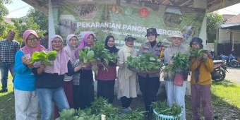 Polsek Sedati dan Warga Swan Regency Buncitan Panen Sayuran Perdana