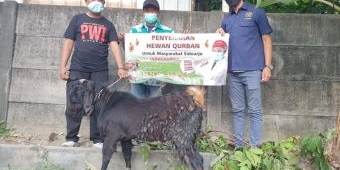 Anggota DPR RI Indah Kurnia Bagikan Hewan Kurban di Sidoarjo dan Surabaya