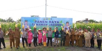 Polres Pelabuhan Tanjung Perak Panen Raya Jagung Bersama Kelompok Tani dan Mahasiswa