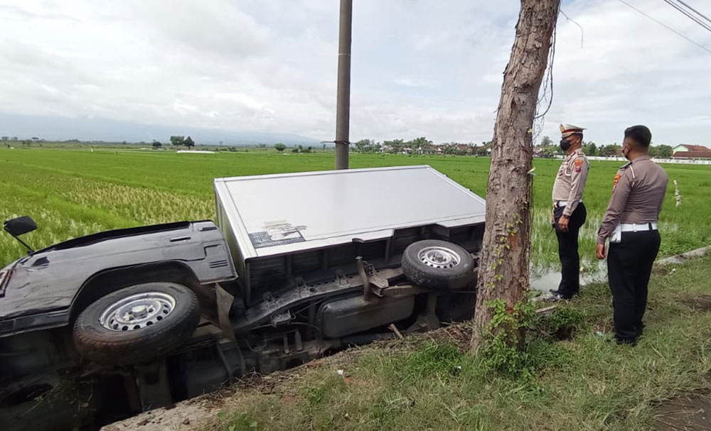 Kondisi pikap box terguling ke sawah usai menabrak pengendara motor.
