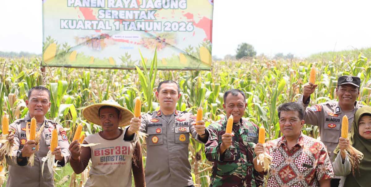 Wakapolres Kediri Kota (nomor 3 dari kiri) bersama TNI serta unsur Forkopimcam Banyakan saat melakukan panen raya jagung. Foto: Ist