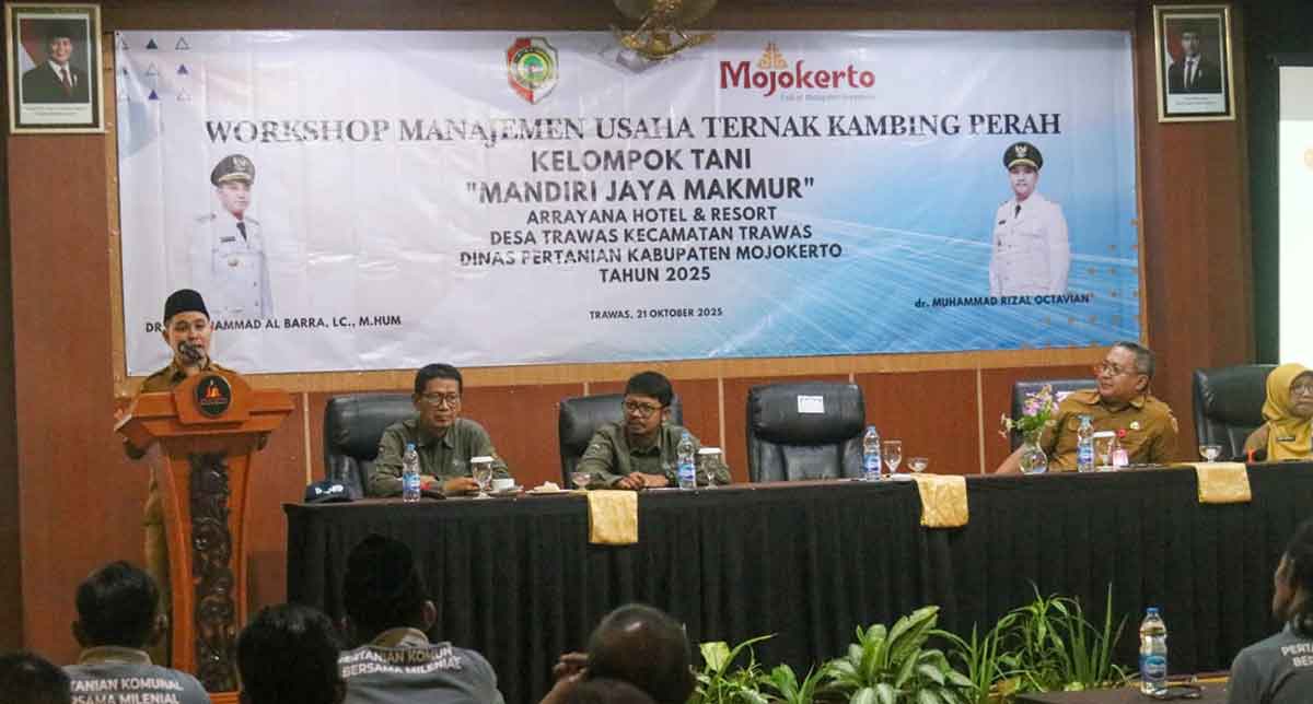 Bupati Mojokerto Dorong Peternak Milenial Lewat Workshop Manajemen Usaha Kambing Perah