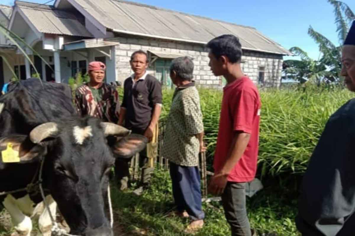 Korban bersama sapi yang dicuri.