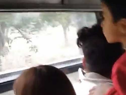 Panjat Dinding Kebun Binatang, Pengunjung Dikremus Dua Singa