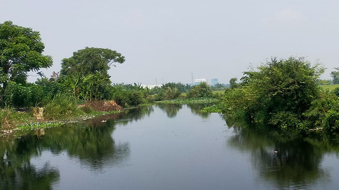 Sungai Wrati Tercemar, Anggota DPRD Kabupaten Pasuruan Minta DLH Segera Bertindak