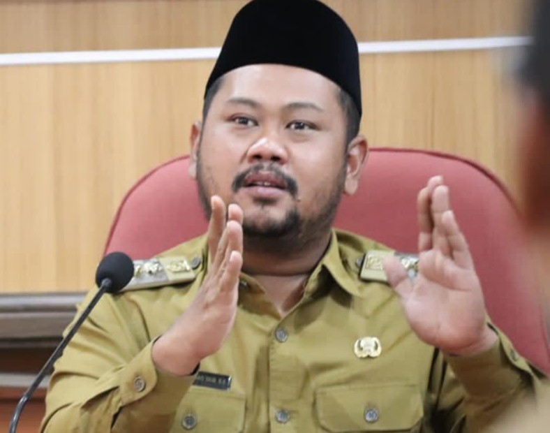 Fandi Akhmad Yani, Bupati Gresik