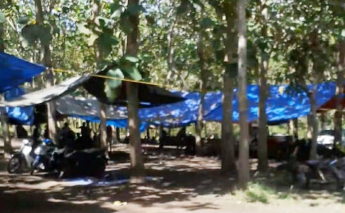 Tampak terpal biru dipasang di tengah hutan jati Kecamatan Bangorejo.
