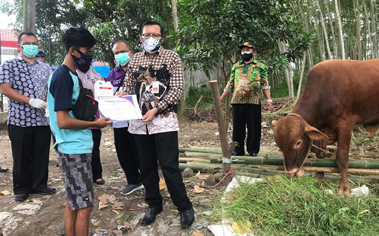 Dinas Ketahanan Pangan dan Peternakan (DKPP) Kabupaten Jember meninjau langsung sekaligus melakukan pemeriksaan terhadap hewan kurban di Jalan Tegal Besar Kecamatan Kaliwates, Kamis (15/7/2021).
