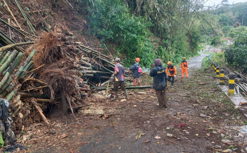 Rumpun Bambu yang Tumbang dan Sebabkan Longsor di Tulungrejo Kota Batu Berhasil Dievakuasi