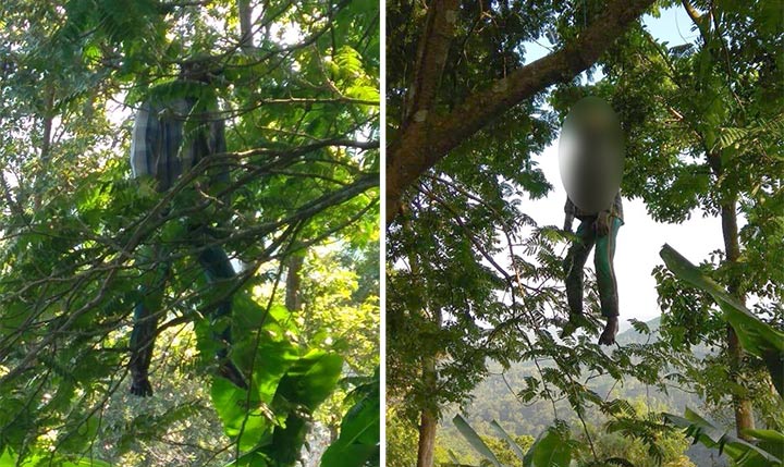Seminggu Hilang, Warga Jember Ini Ditemukan Gantung Diri di Hutan