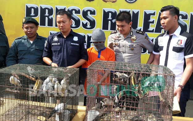 Kasat Reskrim Polres Gresik, AKP Adam Purbantoro saat menunjukkan tersangka beserta barang bukti burung langka yang dijual. foto: SYUHUD/ BANGSAONLINE
