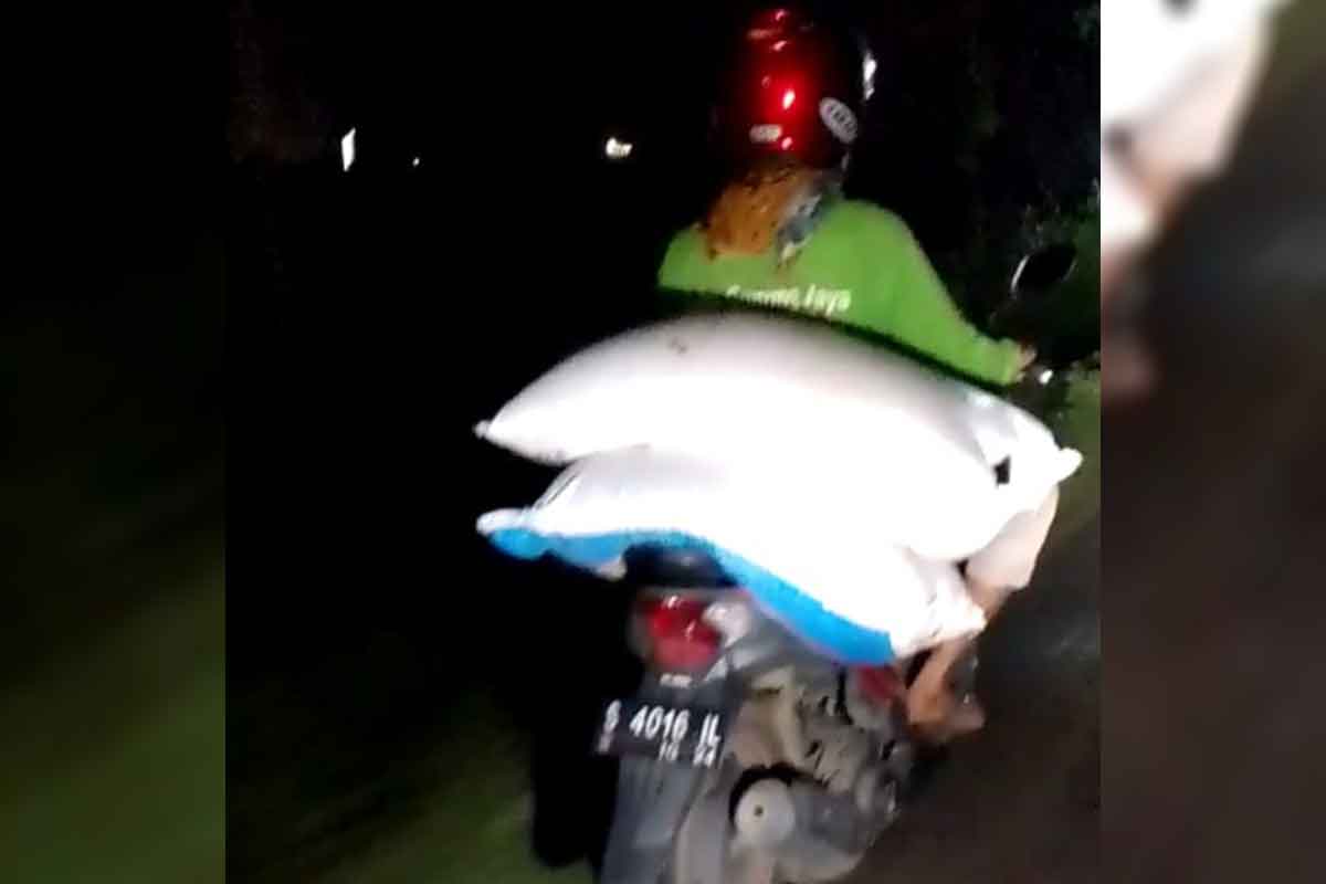 Pelaku pencurian pupuk yang terjadi di Kabupaten Tuban