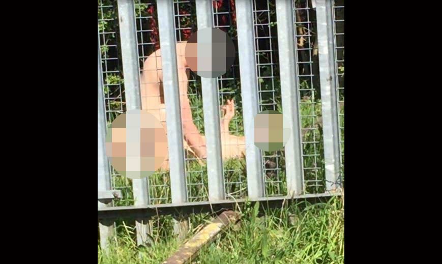 Uppps.... nikmat menyerang... lupa kalau diperhatikan orang. foto: mirror.co.uk