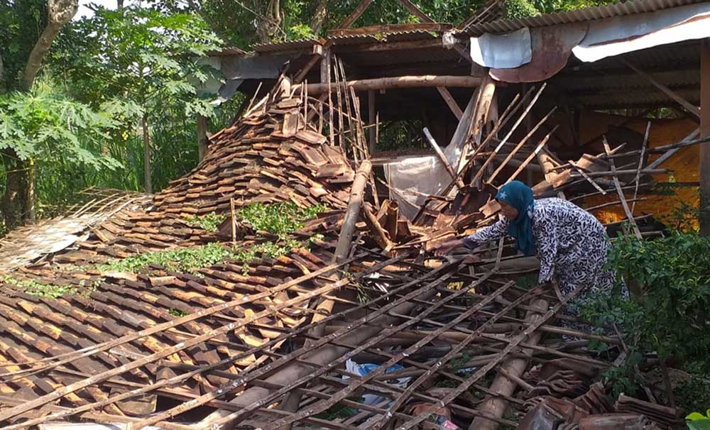 Salah satu rumah warga di Tuban ambruk terdampak gempa bumi.