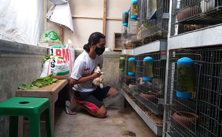 Eko Sabdianto, Breeder Kelinci Spesialis Holland Lop. (foto: ist)