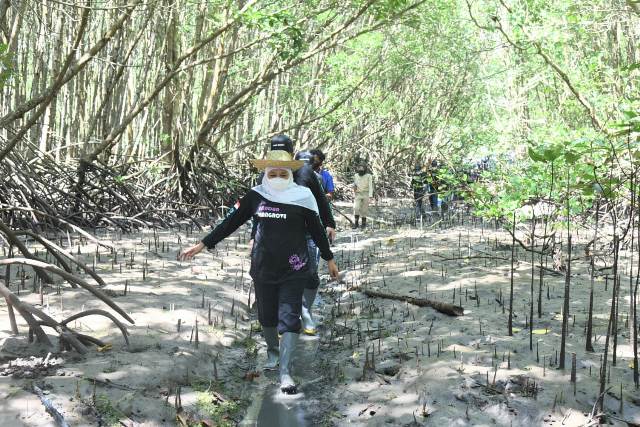 Gubernur Jawa Timur Khofifah Indar Parawansa saat melakukan penanaman mangrove di Kawasan Ekosistem Esensial (KEE) Teluk Pangpang, Kecamatan Muncar, Kabupaten Banyuwangi, Jum’at (29/10). foto: Humas Pemprov Jatim