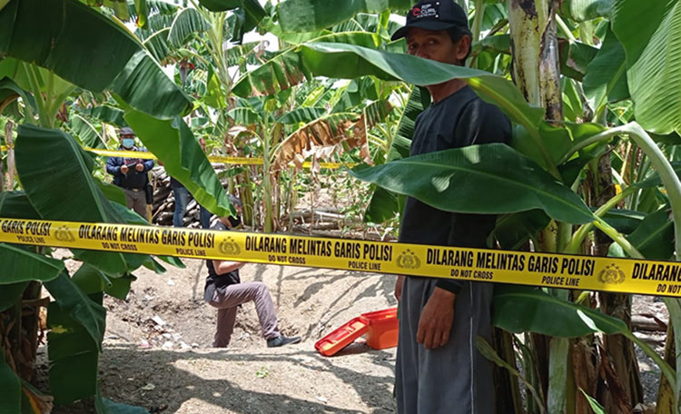 Baru Seminggu Pulang dari RSJ Menur, ODGJ di Lamongan Kumat, Bacok Bapak Sendiri Hingga Tewas