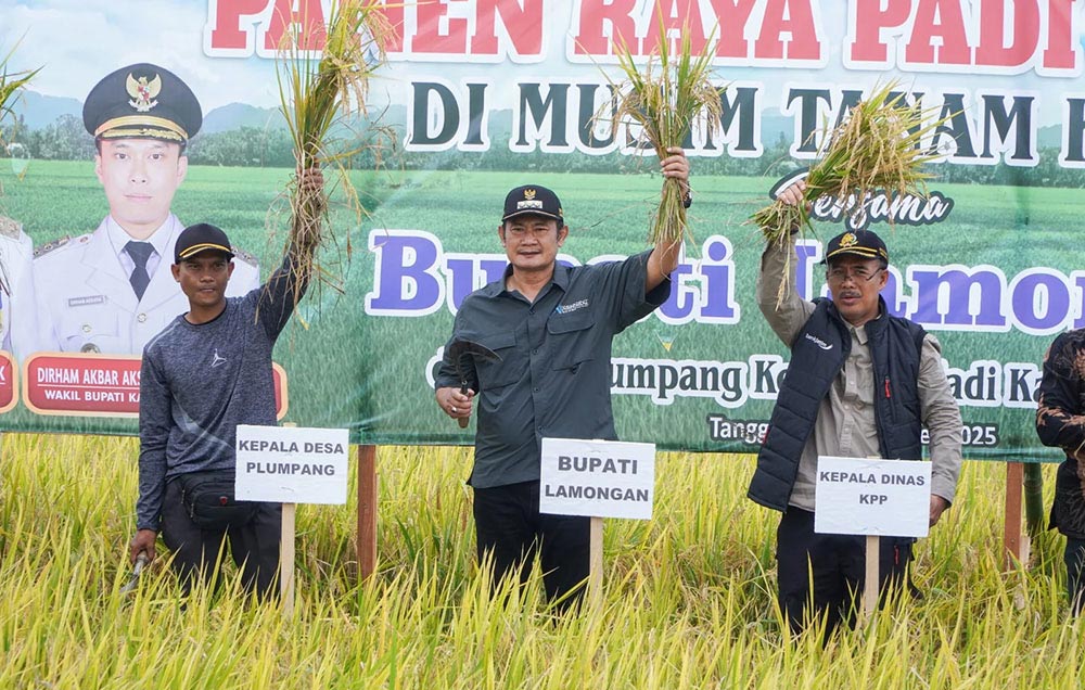 Bupati Lamongan Yuhronur Efendi saat menghadiri panen raya padi di Desa Plumpang.