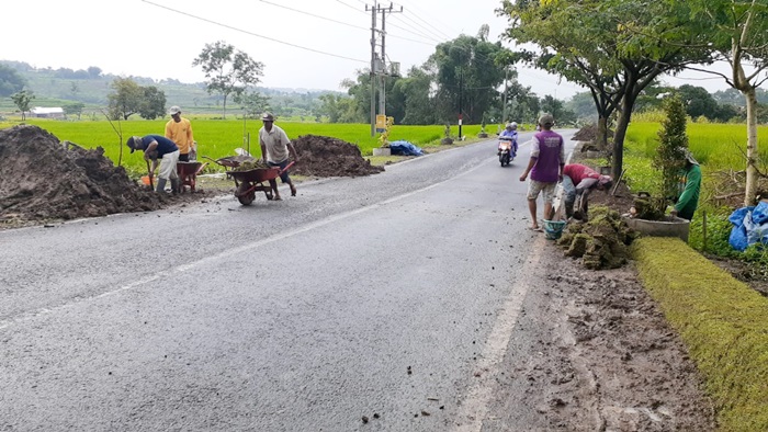 Warga sedang melakukan penanaman pohon dan bunga di tepi jalan.