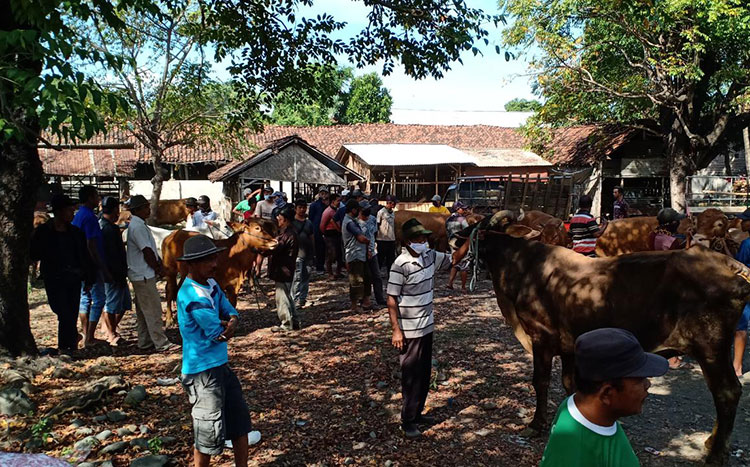 Pasar Hewan Besuk yang dipaksa dibuka oleh para pedagang.