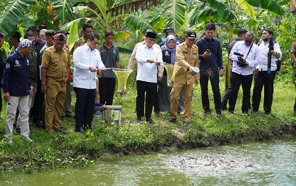 Menteri Desa PDTT Yandri Susanto didampingi Bupati Yuhronur Efendi saat meninjau tambak lele yang menjadi bidang usaha salah satu KDMP di Lamongan. 