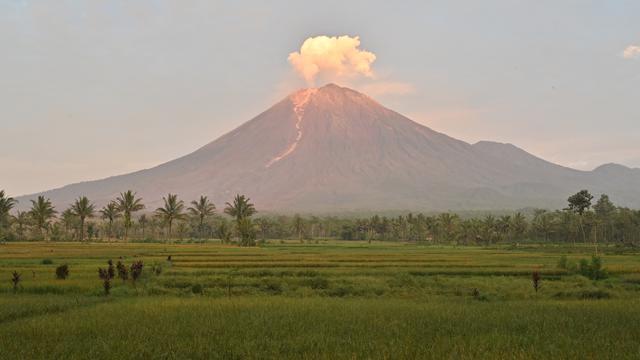 Erupsi Gunung Semeru: Menyingkap Kisah Tragis Aktivis Soe Hok Gie di Gunung Semeru. Foto: Ist