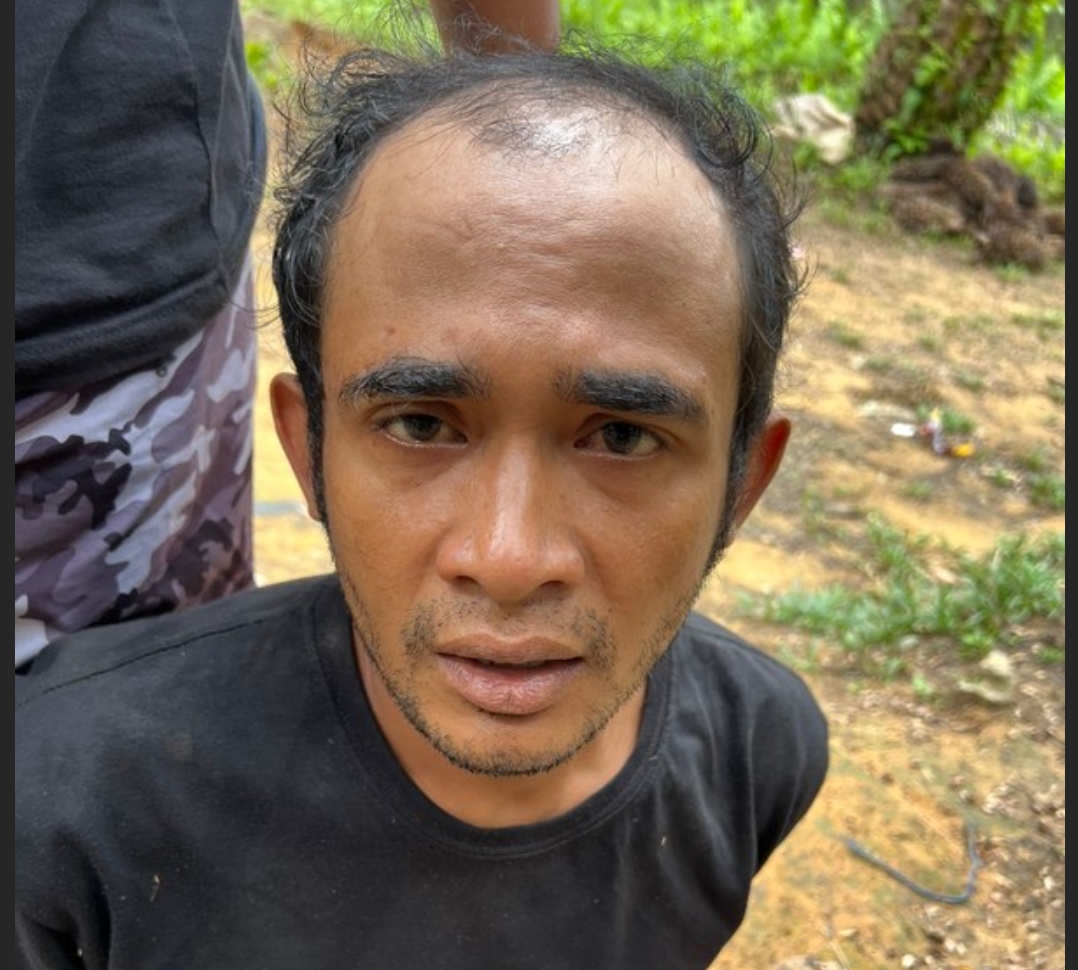 Ahmad Midhol, pembunuh istri pengusaha Gresik saat ditangkap di hutan sawit di Kotawaringin Timur.