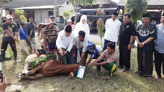 Polda Jatim dan Polres Pamekasan Kurban 29 Sapi di Hari Raya Idul Adha 1440 H