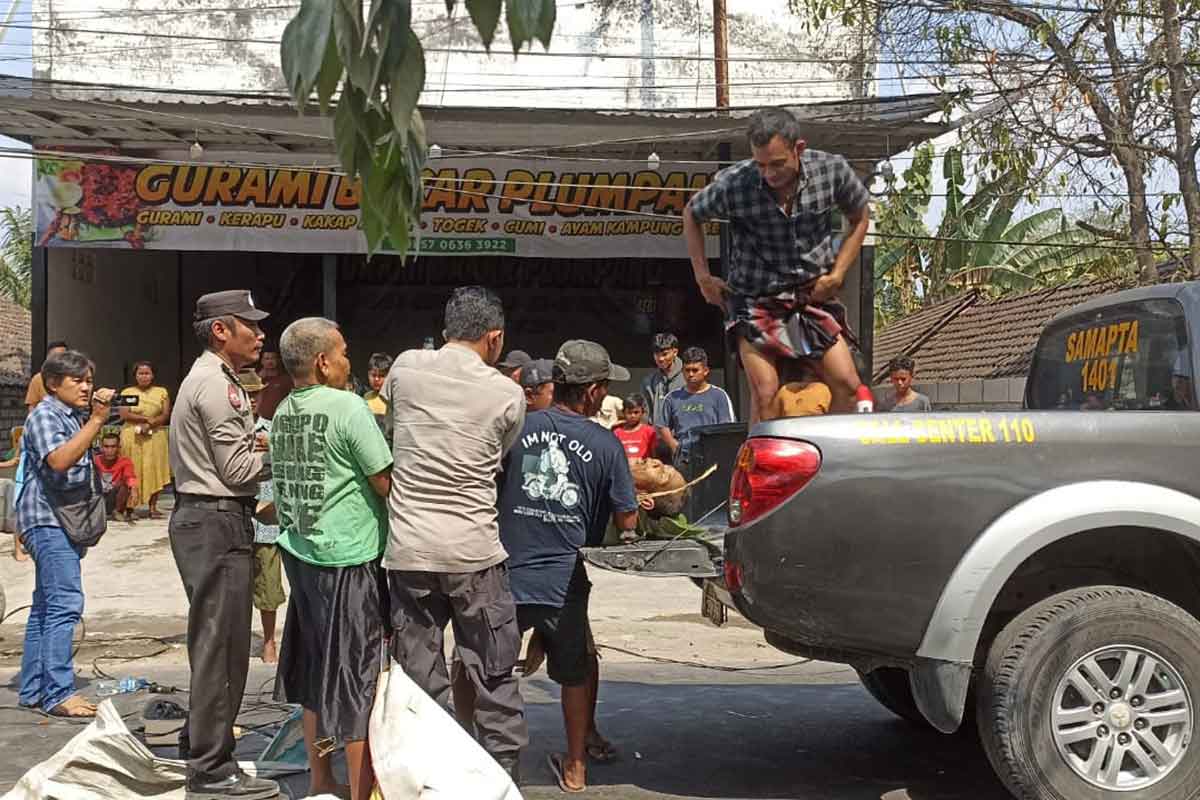 Korban kecelakaan saat dievakuasi warga dan Polisi. 