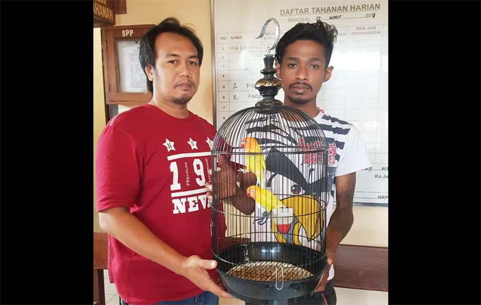 Kanit Reskrim Polsek Sukorejo Aiptu Hariyanto (kiri) menunjukkan pelaku yang berhasi diamankan.. foto: Andi Fachrudin/ BANGSAONLINE