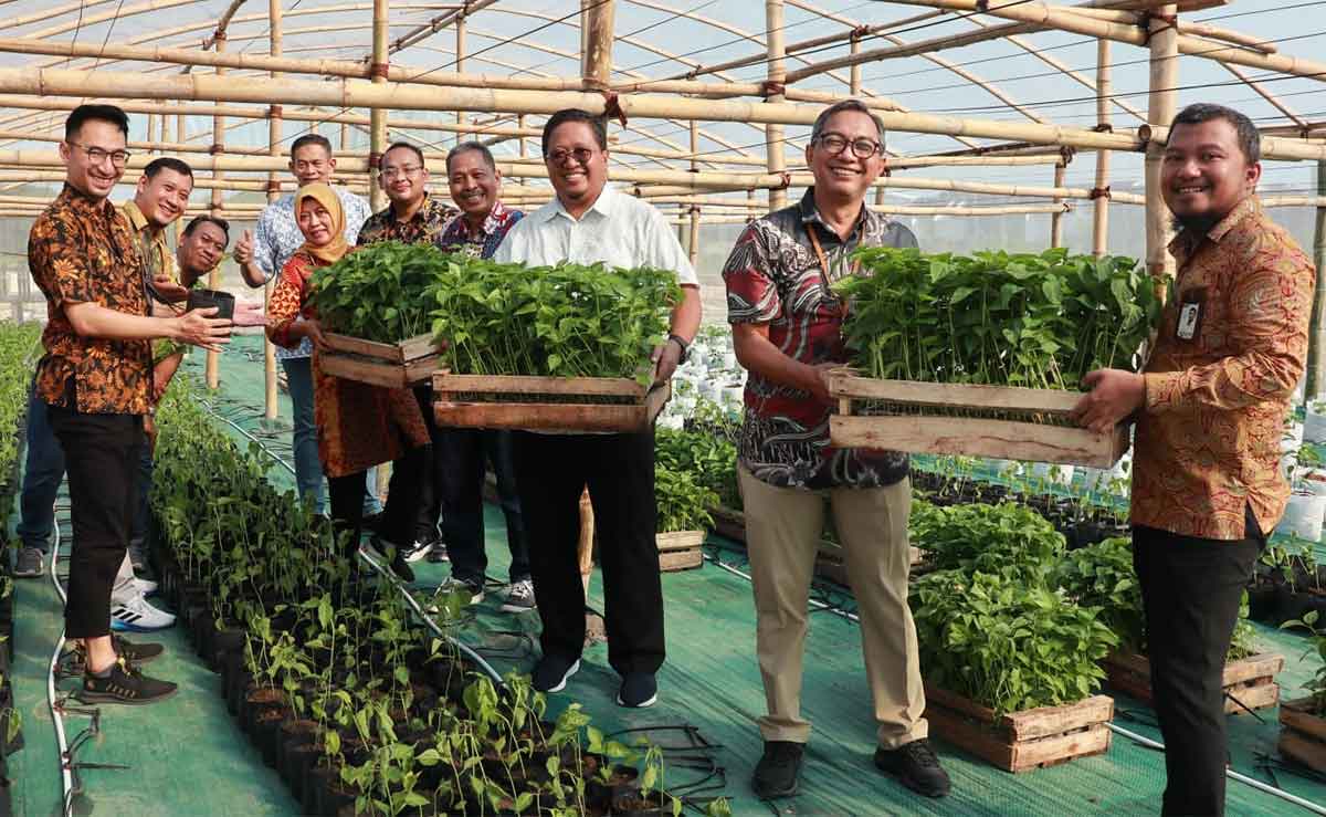 Ketua Pengurus K3PG, Awang Djohan Bachtiar (tengah), saat menunjukkan tanaman cabai di Green Tech. Foto: Ist
