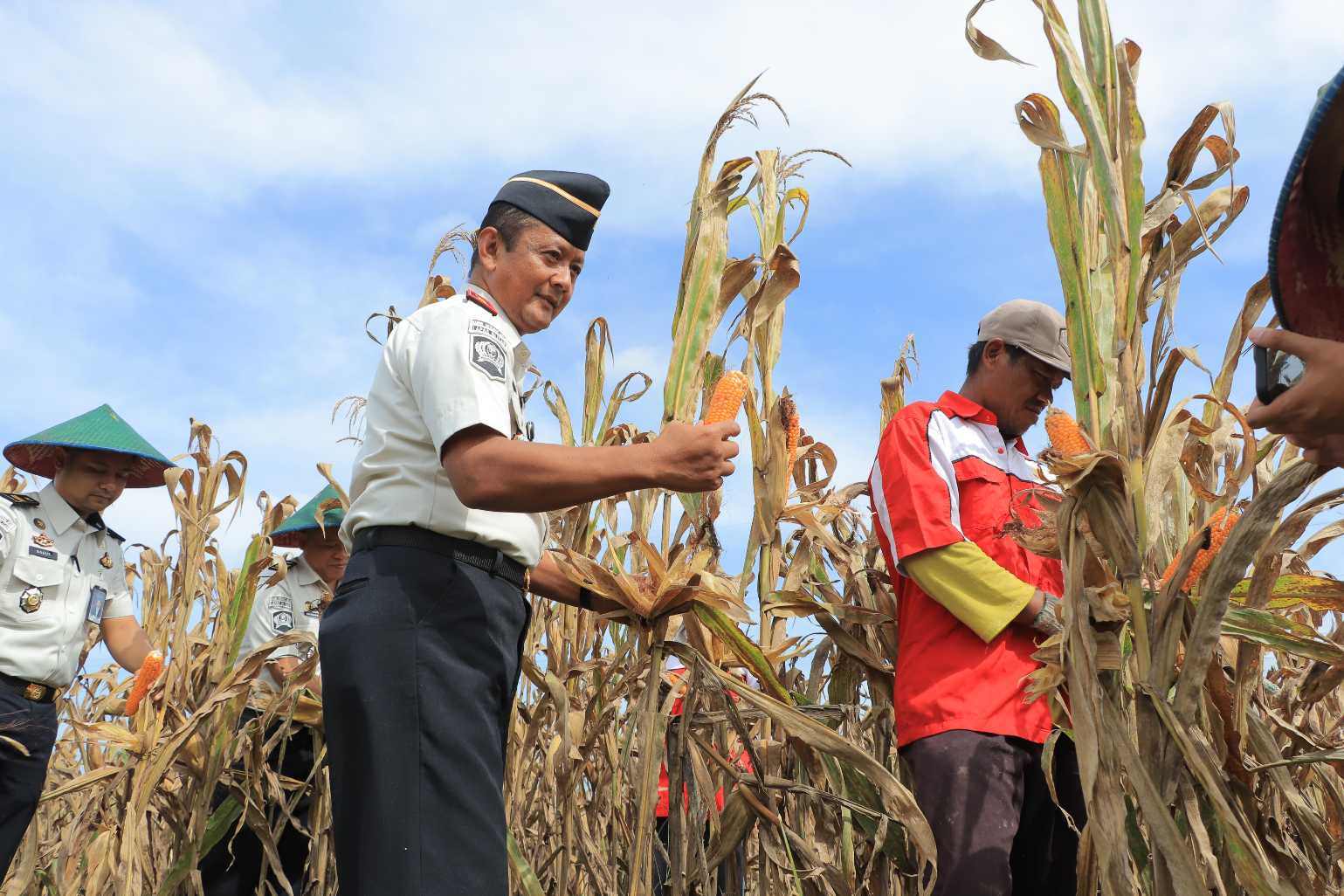 Warga Binaan Lapas Blitar Panen Sayuran untuk Bantu Korban Bencana di Aceh dan Sumatra
