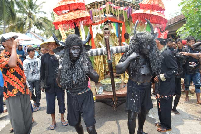 Kerbau sedang menarik kereta yang dinaiki Dewi Sri. 