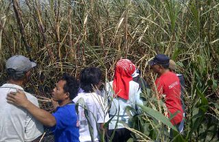 OLAH TKP – Tim Identifikasi Polres Kediri saat menggelar olah tempat kejadian perkara (TKP), di lokasi kejadian, Senin (29/9/2014). foto: arif kurniawan/BangsaOnline
