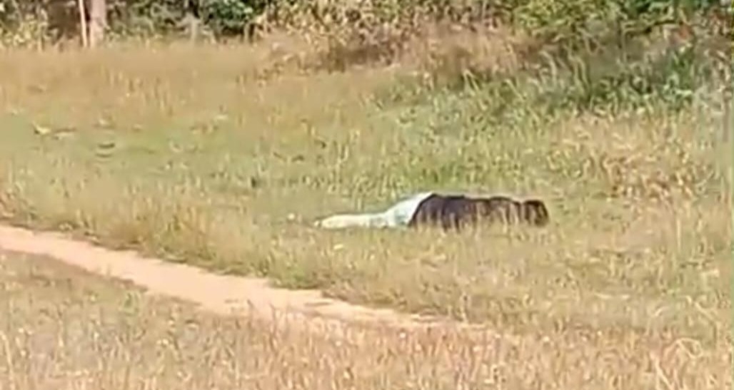 Tangkapan layar video yang menunjukkan penemuan mayat di Desa Rapa Daya, Omben.