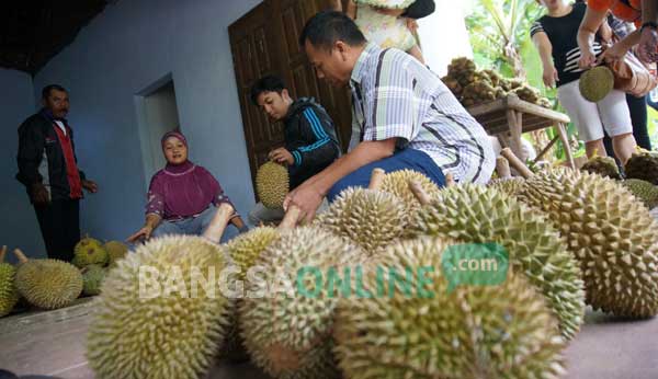 Rumah Sulami sudah ramai warga untuk membeli durian. foto: rony suhartomo/ BANGSAONLINE