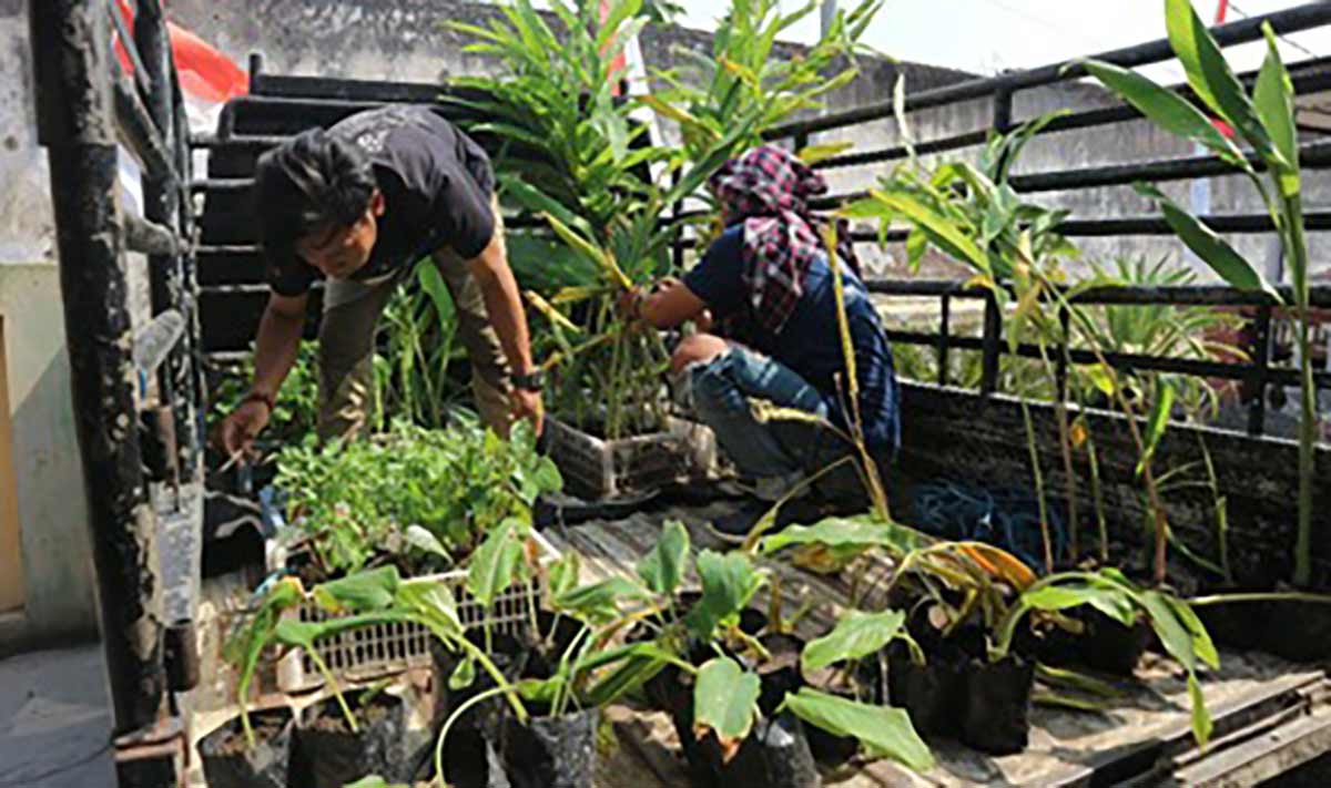 Tanaman obat keluarga dari PPK Ormawa UKM Mapala Umaha Sidoarjo  untuk masyarakat di Kelurahan Ngelom.