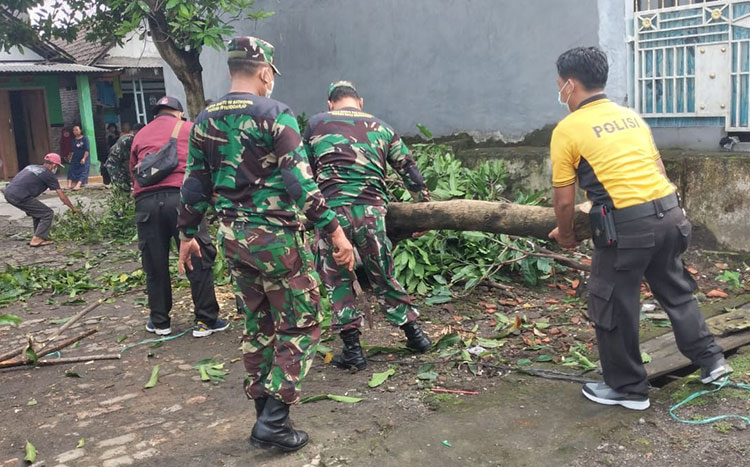 Petugas gabungan saat kerja bakti membantu warga terdampak angin puting beliung di Krian, Sidoarjo.
